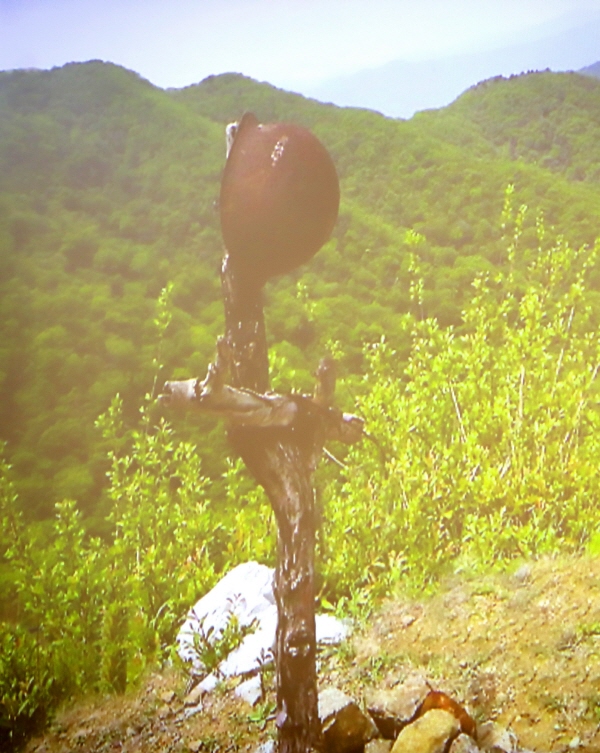 합동KakaoTalk_20230711_175040570_15 (1).jpg